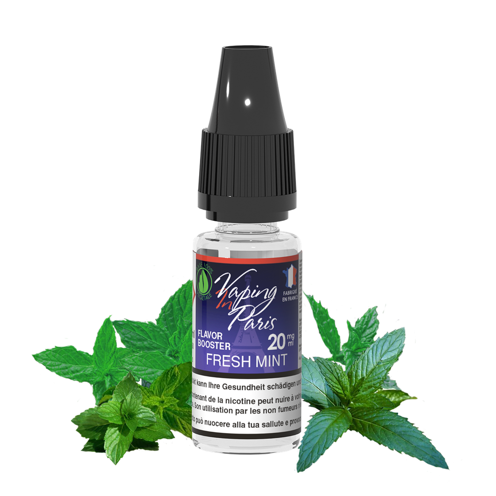 Booster Flavor Fresh Mint VIP 10ml